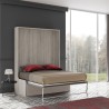 Lit escamotable vertical + banquette