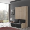 Lit escamotable vertical + banquette