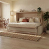 Lit escamotable horizontal avec canapé Citala
