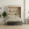 Lit escamotable vertical NYX avec canapé et rangement intégré